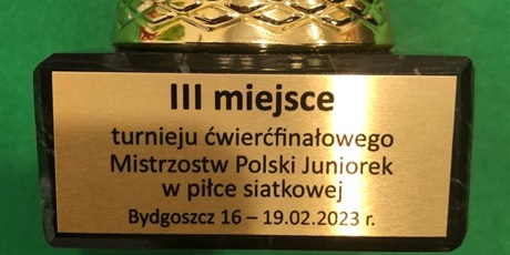Powiększ grafikę: iii-miejsce-turnieju-cwiercfinalowego-mistrzostw-polski-juniorek-w-pilce-siatkowej-419025.jpg